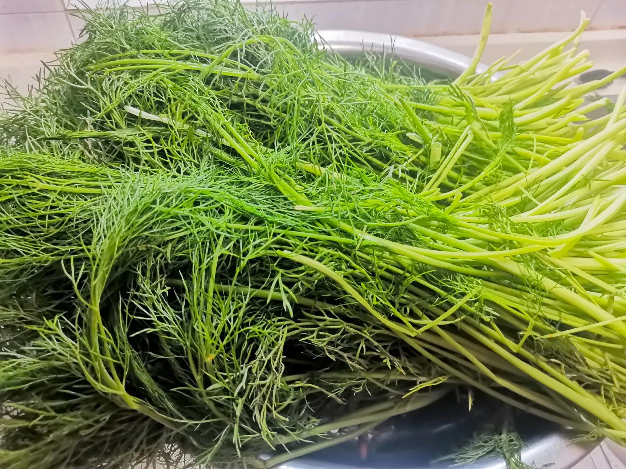 周日在家包饺子,周日饺子