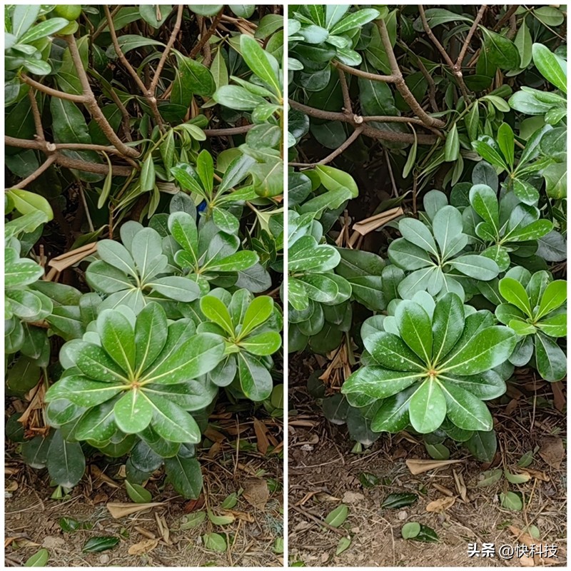 华为mate50e跟mate50值得购买吗,华为mate50e和mate50哪个值得买