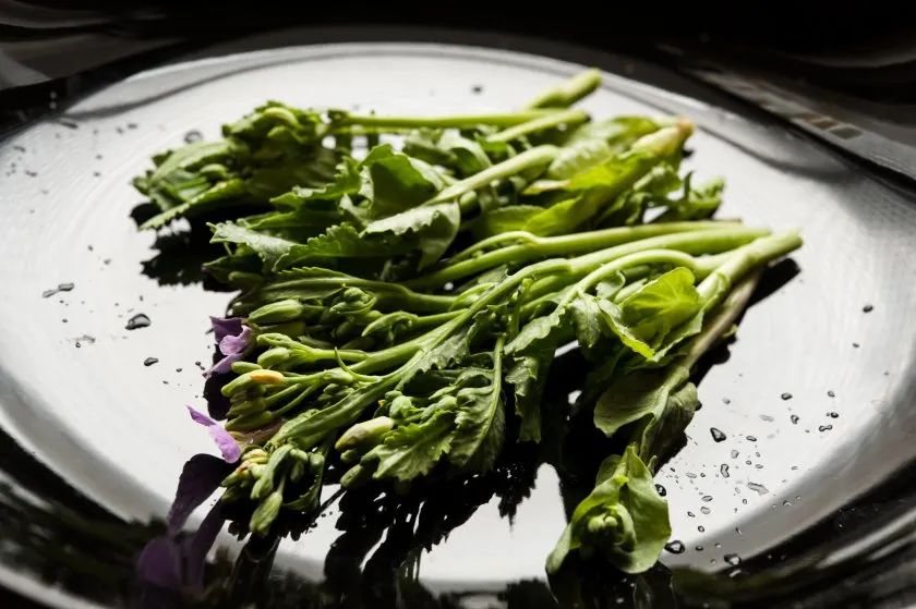 萝卜的这个小知识你知道了吗 (关于萝卜的百科知识有哪些)