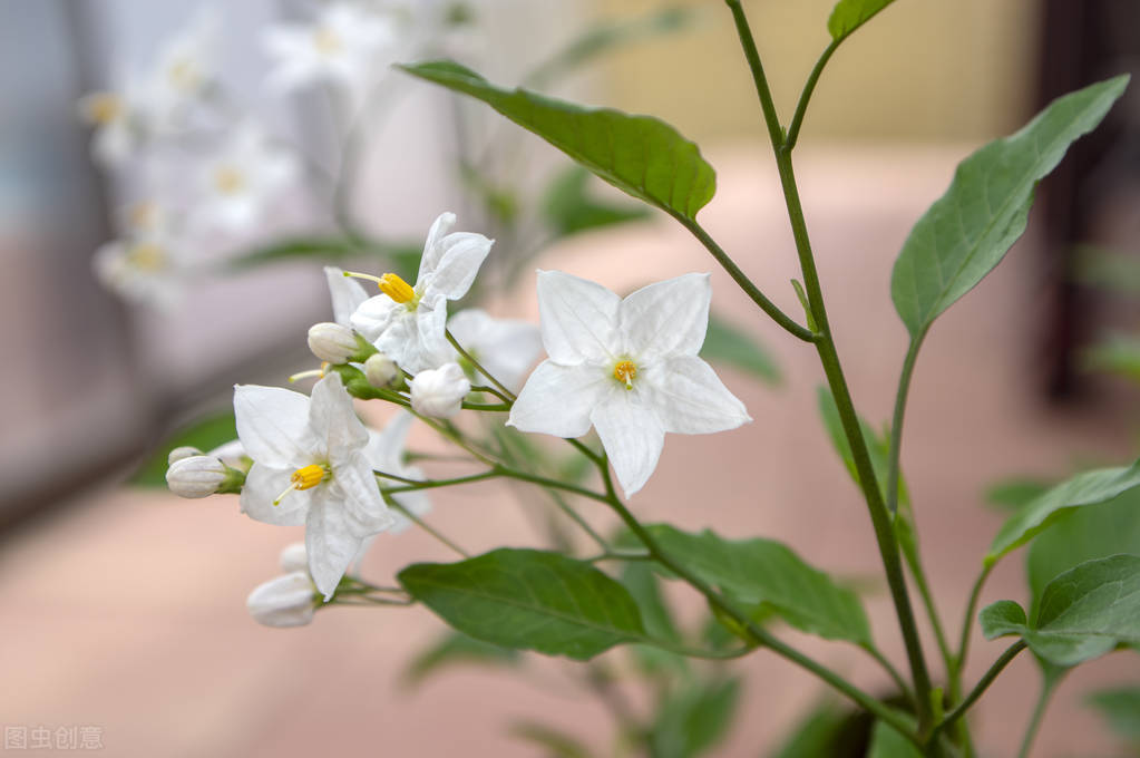 如何和对方聊得舒服,跟女孩子聊天如何引起对方的兴趣