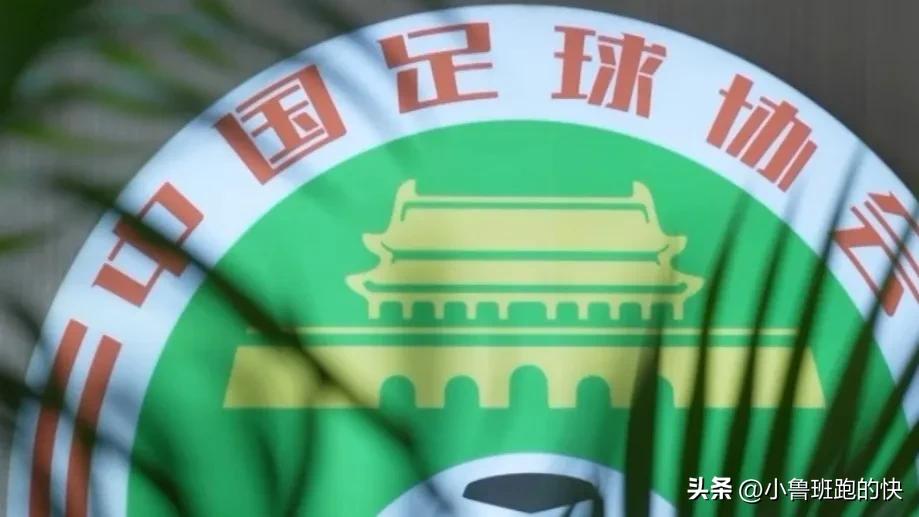 李铁花300万上位主教练,李铁花300万当上国足主教练