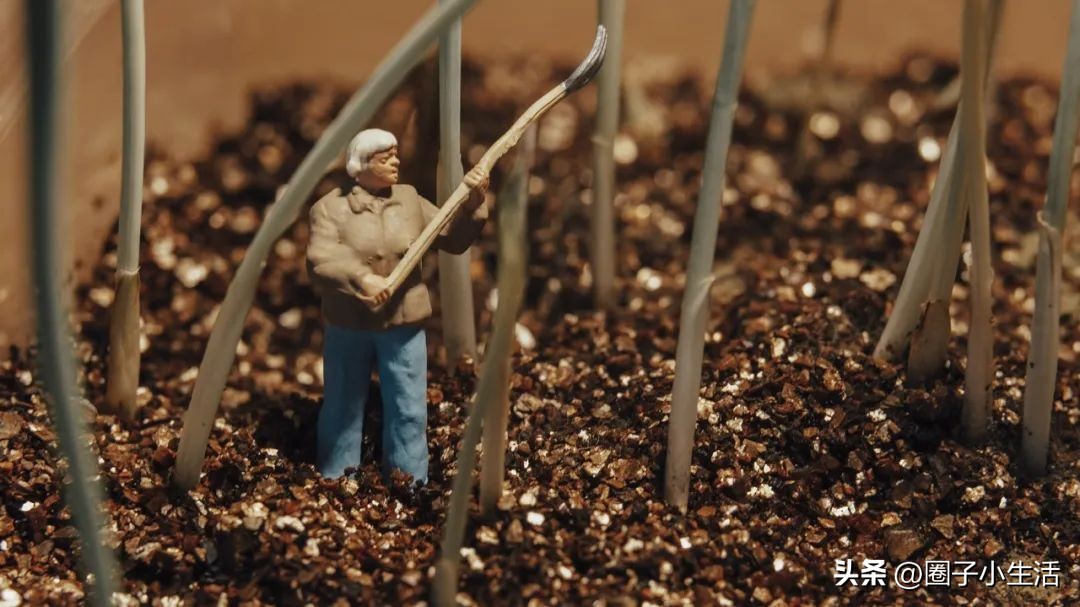 肯高增距镜质量咋样,肯高近摄接环