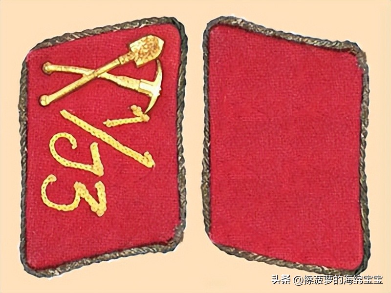 纳粹冲锋队用的什么枪,纳粹德军军衔图解