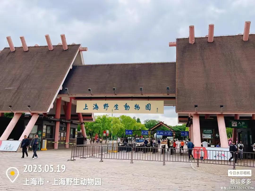 上海野生动物园和上海动物园,上海野生动物园过年营业时间
