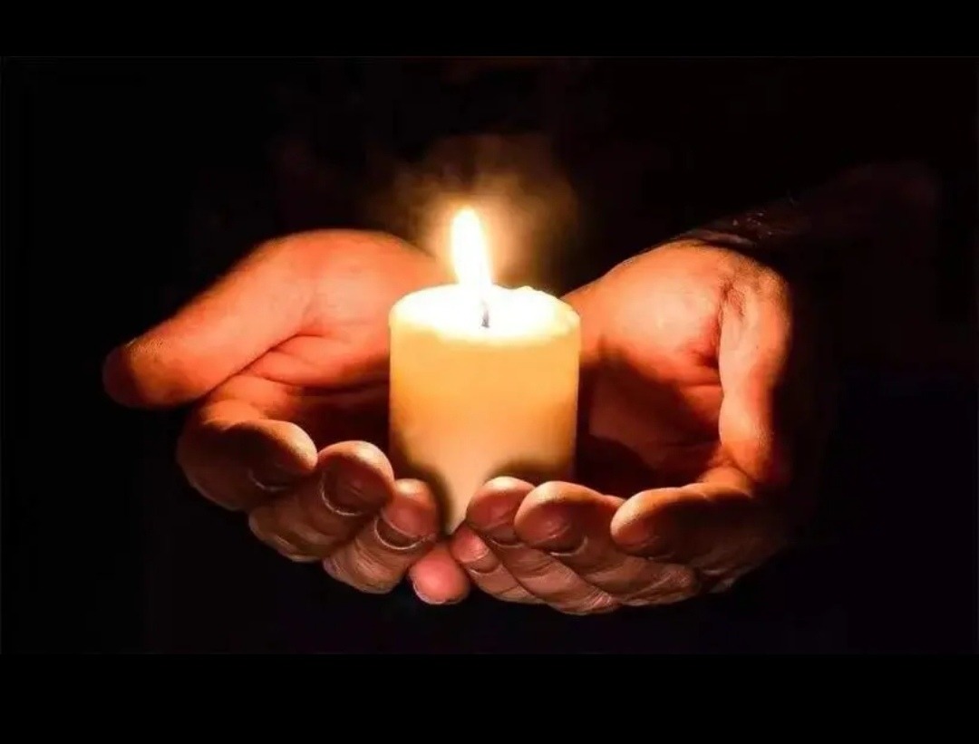 丢失牙齿,丢失的牙