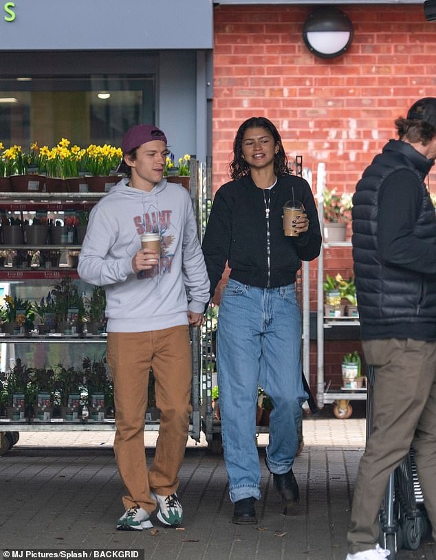 赞达亚和荷兰弟蜘蛛侠第一次见面,蜘蛛侠赞达亚全身照