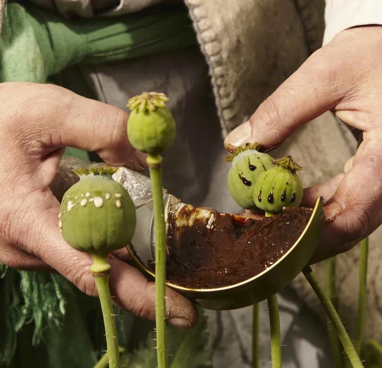 金三角探秘神秘千年古墓,金三角探秘越南