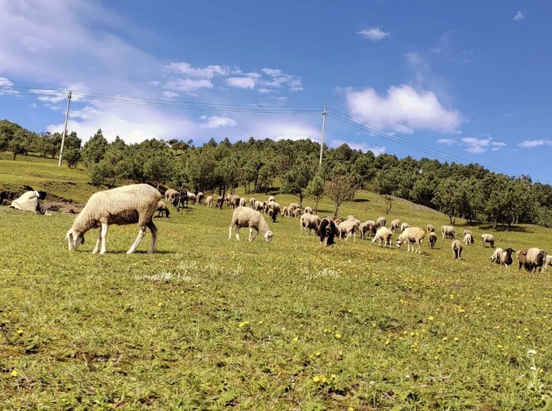 昭通大山包一览众山,昭通市昭阳区大山包乡
