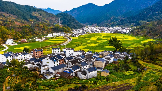 大包干前夕农村现状,大包干农村现状