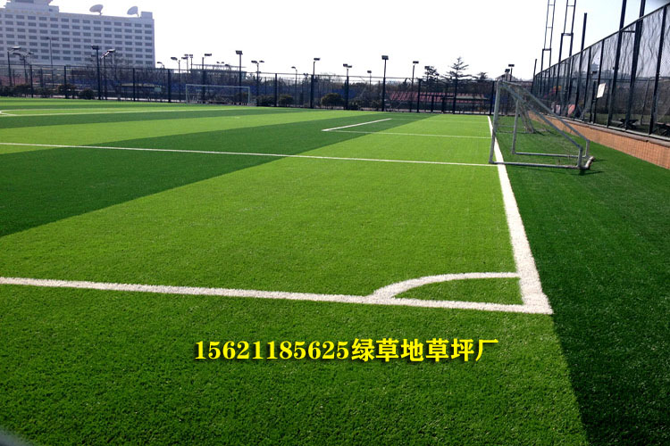 人造草坪足球场建设价格,人造草坪标准足球场施工报价