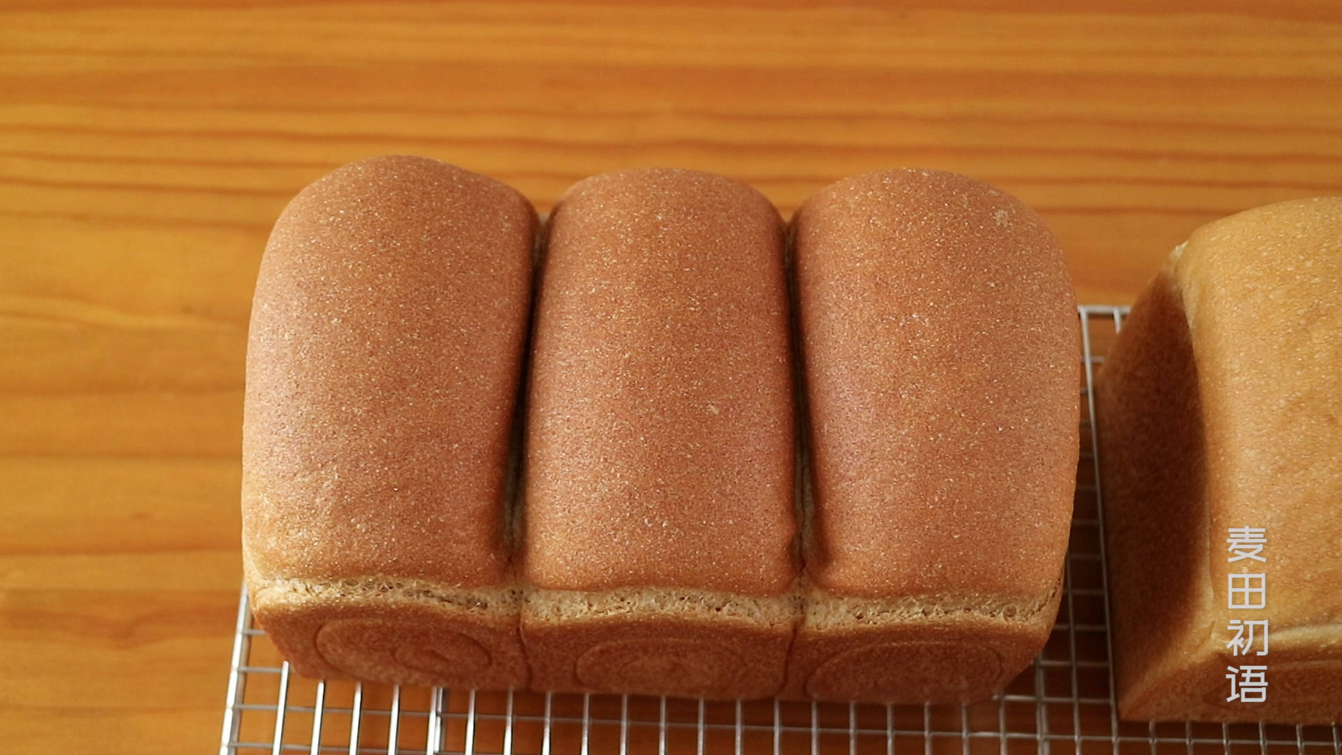 做吐司用哪种牌子好,做吐司哪种面种好用