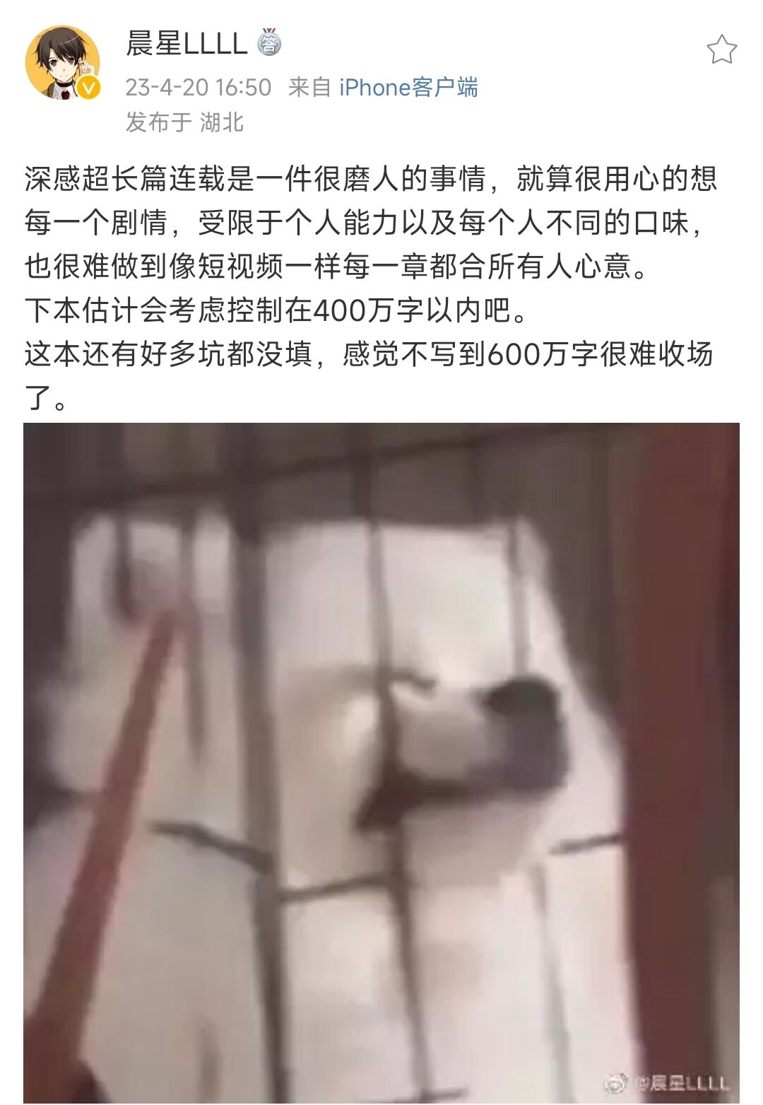 因不满跳舞断更某读者将其与余华进行比较，番茄目前日活超四千万