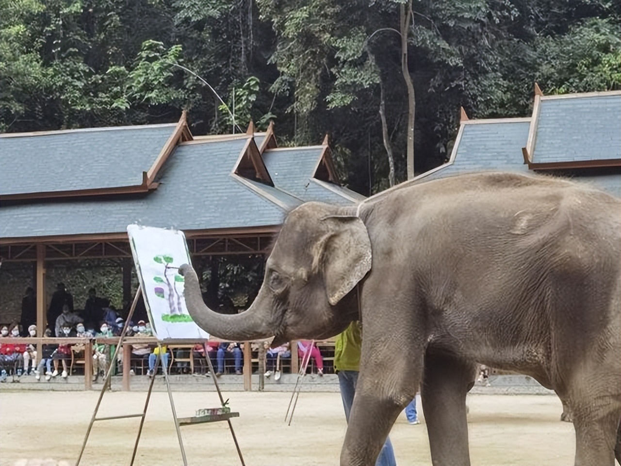 去云南旅游攻略7日花费多少钱,云南旅游攻略6天5晚需要多少钱