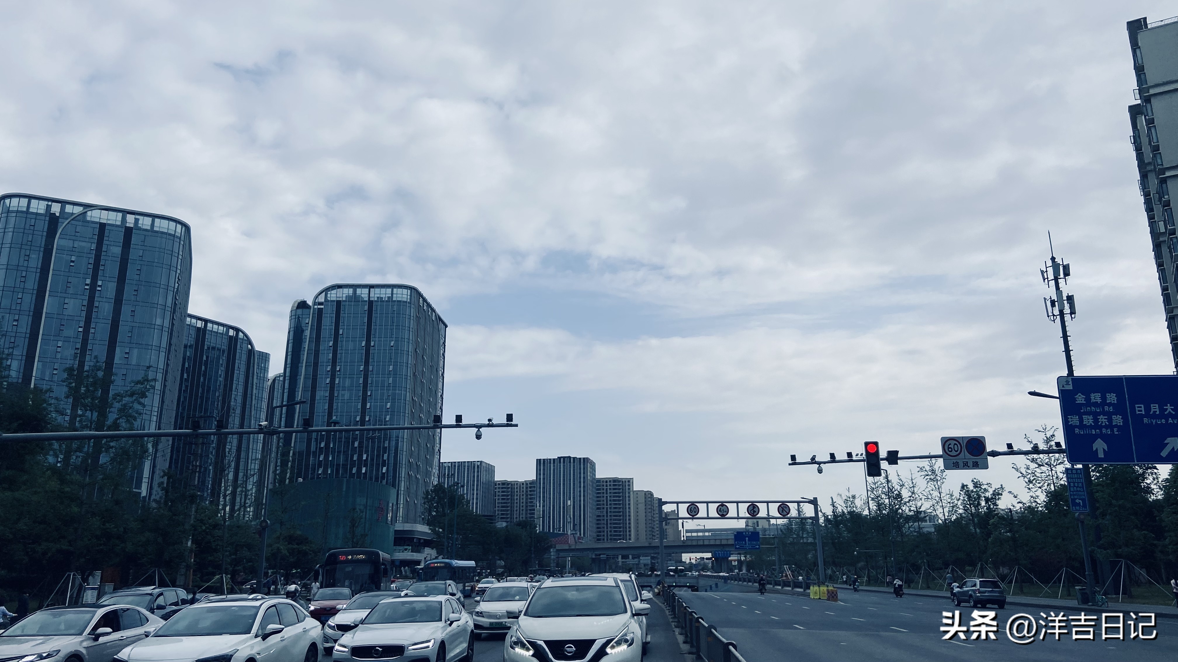 洋吉日记2023.5.6（10块钱一把的临时雨伞，有感觉）