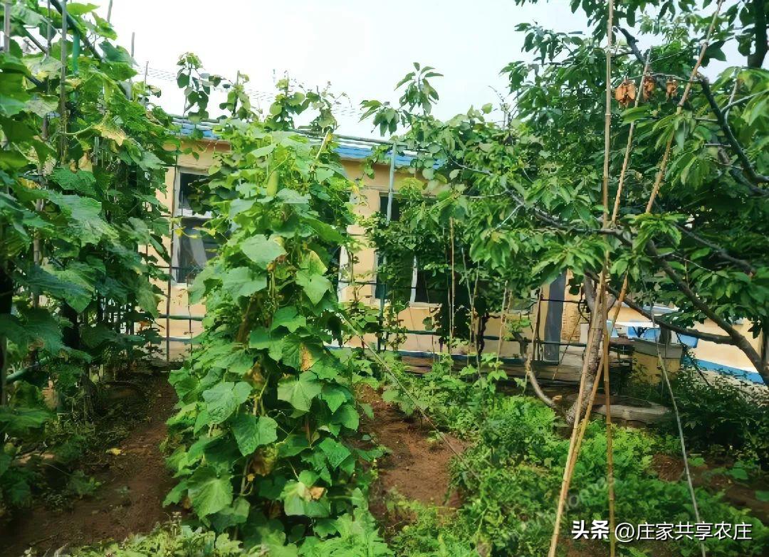 怀柔原始小院闲置出租,怀柔小院出租价目表