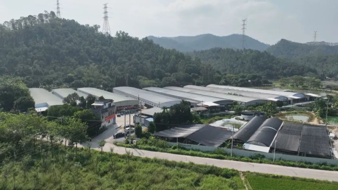 向上突围——云浮高质量发展融媒报道|新兴县村、社区将同步实现年经营收入15万元以上