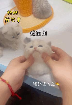 “千万！不要乱买东北风性感制服…”哈哈哈哈试穿后过于刺激