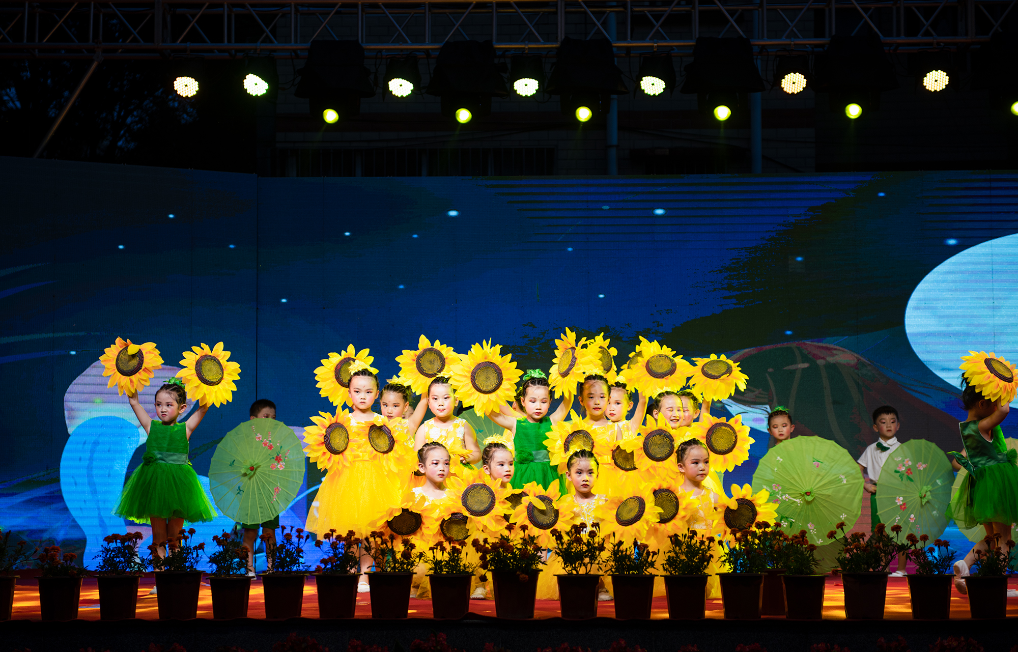 放飞梦想向阳生长,向阳蓓蕾幼儿园