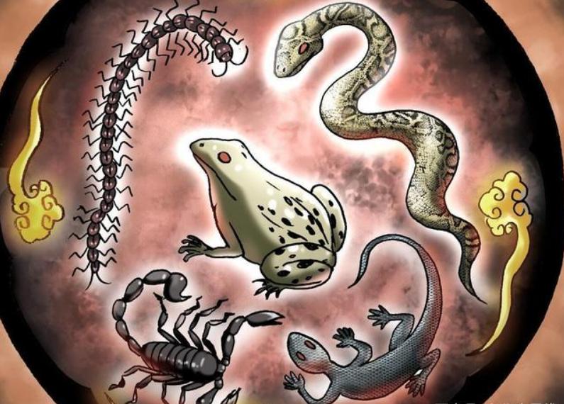 蛊术有法律规定吗,蛊到底是什么原理