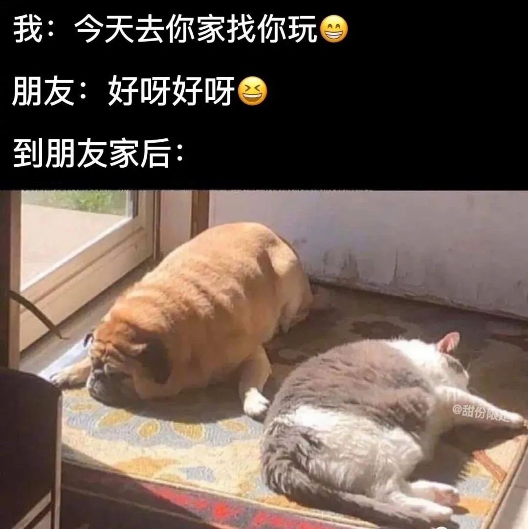 “曝光朋友圈代购聊天记录！！”哈哈哈哈哈哈这是什么社死现场啊