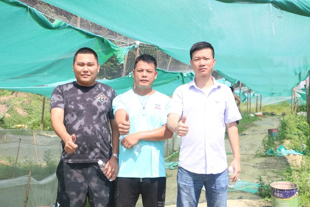 拥有多年的牛蛙养殖技术经验,致富经之牛蛙养殖