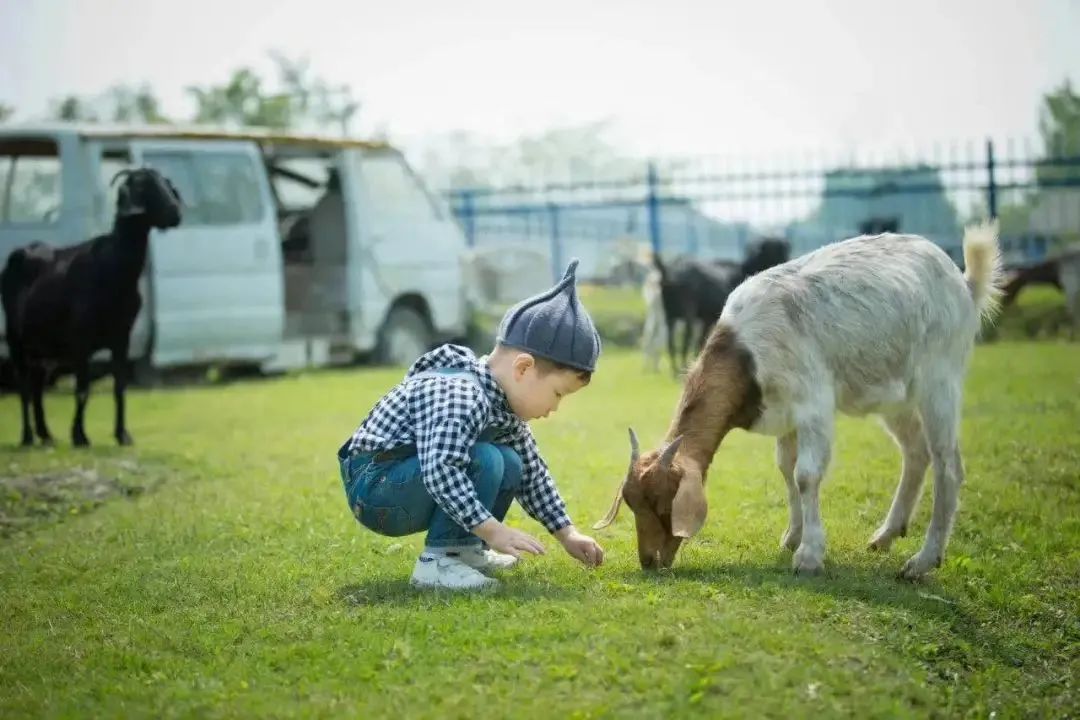 成都新津十大旅游景点有哪些,成都新津旅游攻略自由行攻略