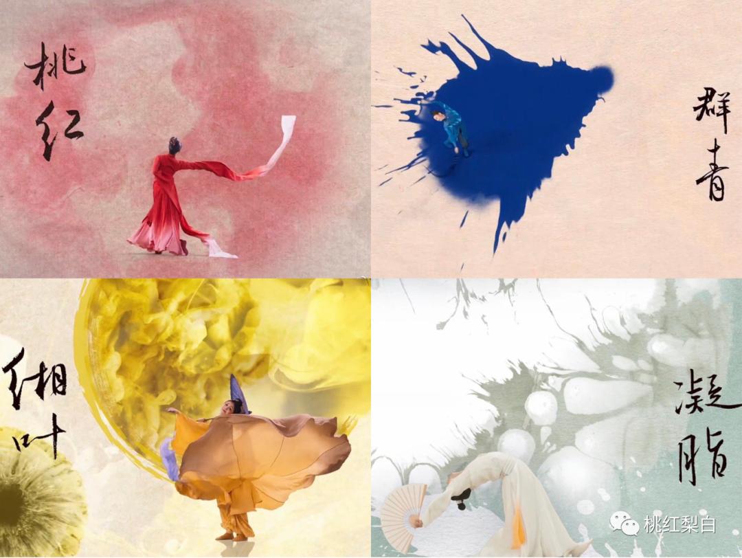 从端庄大气到小家碧玉央视主持人,从国泰民安到网红锥子脸