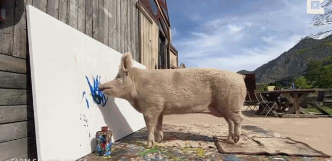 不要不相信，画了十年，或许还不如一头猪