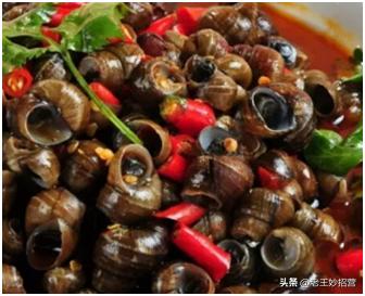 12个生活小妙招，室外插座上沾个塑料瓶，再也不怕狂风暴雨