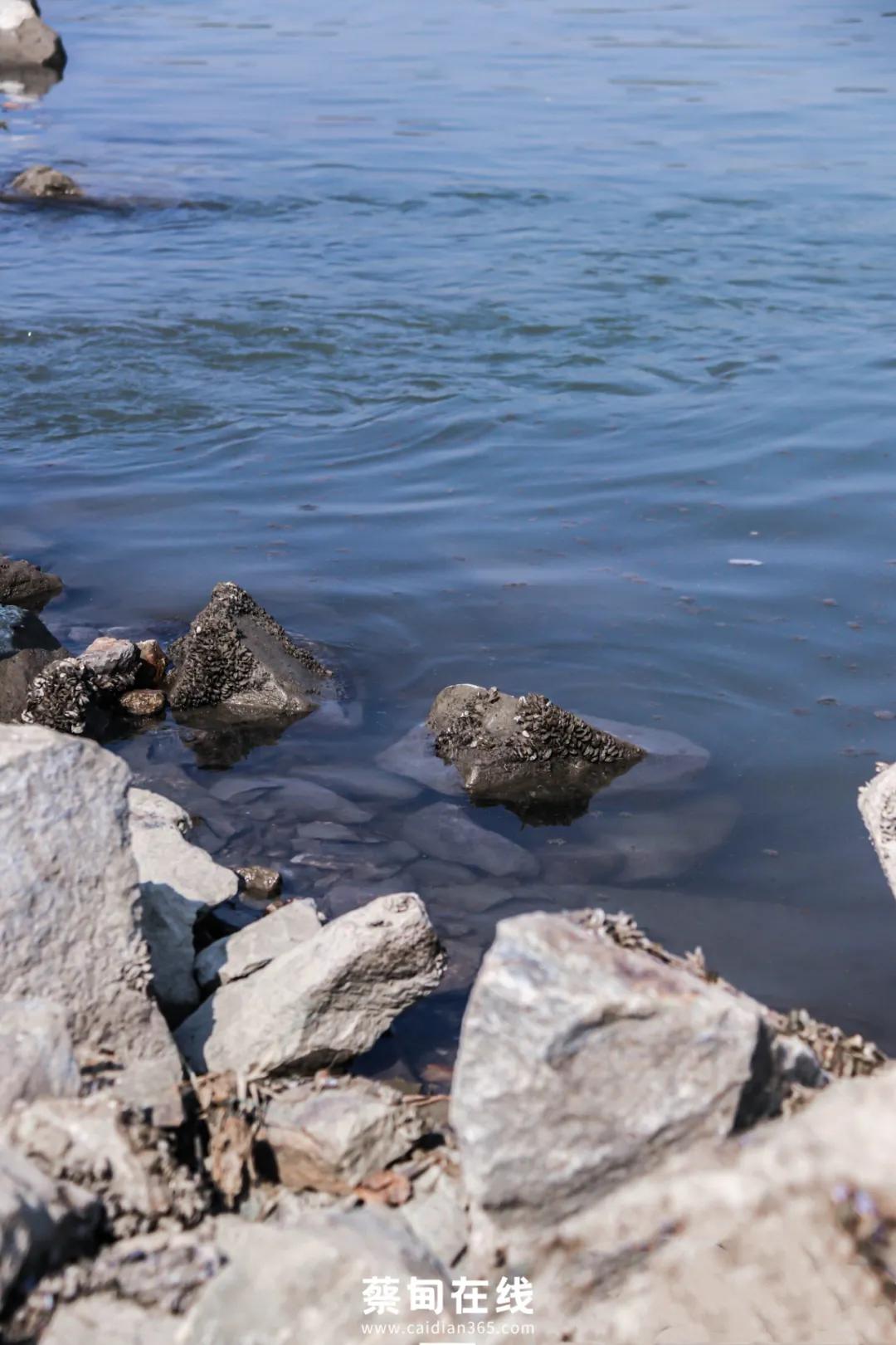 武汉气温回升,武汉气温回暖最新消息