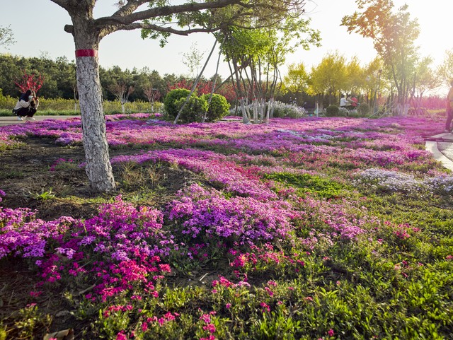 工程简单好做的项目,工程赚钱项目有哪些