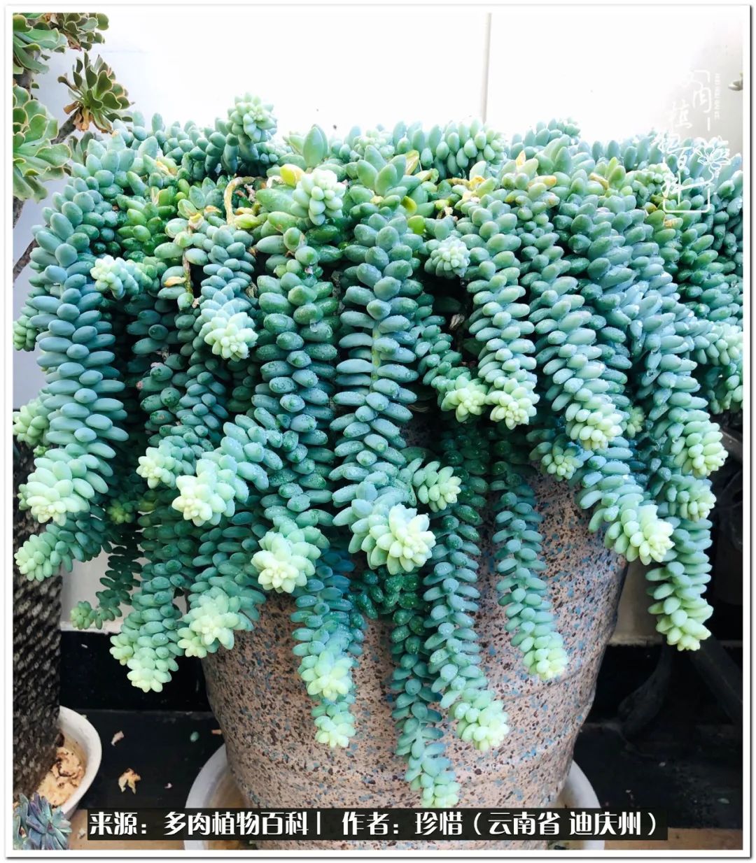 给生命一份淡然还岁月一份从容,给生命留一份洒脱的话