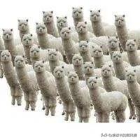 我在东莞打工的感受,我在东莞工厂工作的日子