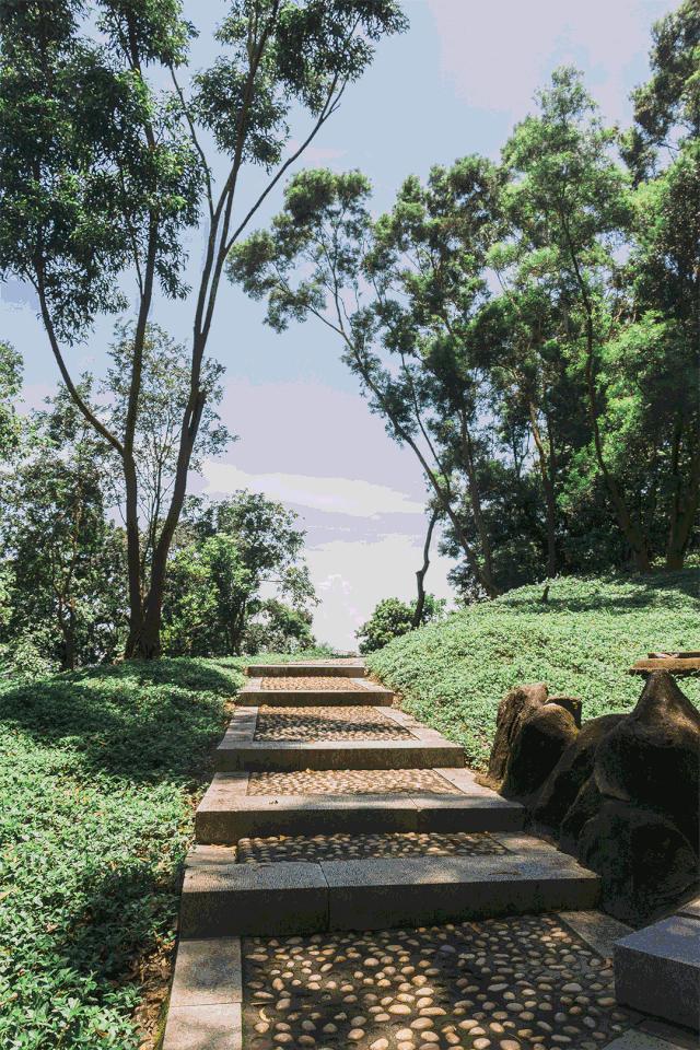 深圳10条入门登山线路推荐,深圳十大山峰最新登山攻略