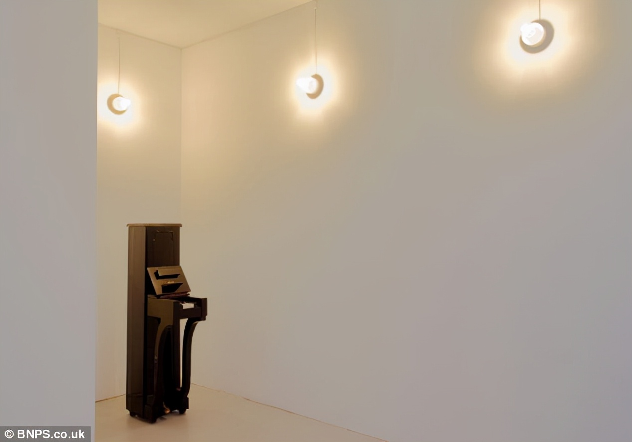 最高的立式钢琴,世界上最大的三角钢琴15尺