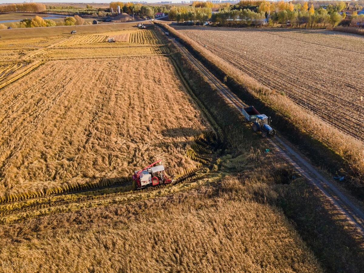 包产到户40年是富了还是穷了,包产到户后哪一年开始的