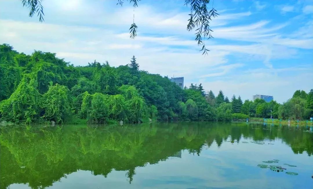 全国十大最美湖景高校,湖北最美湖景学校