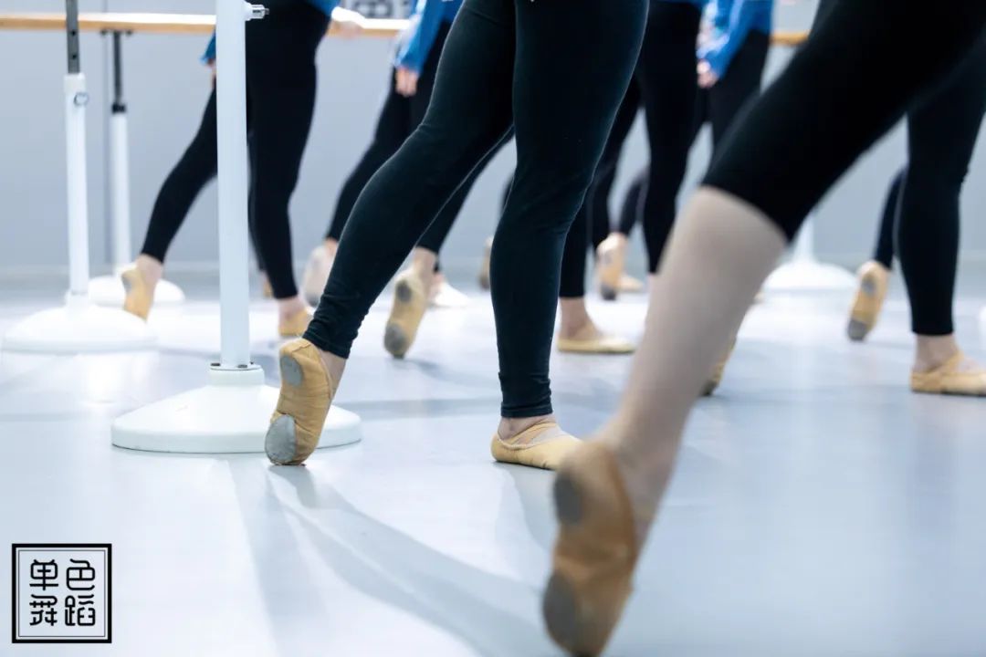 适合自己的舞鞋才是最好的舞鞋,不同舞种选择
