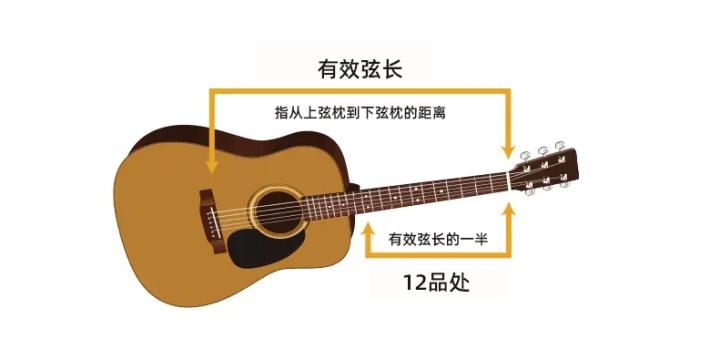 怎么挑选最好的民谣吉他,新手学吉他如何挑选吉他购买吉他