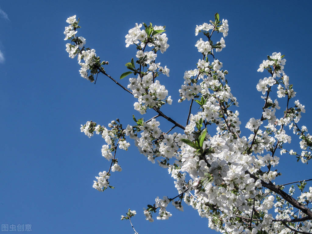 每日省钱存钱小技巧是什么,攒钱上瘾的十大存钱法