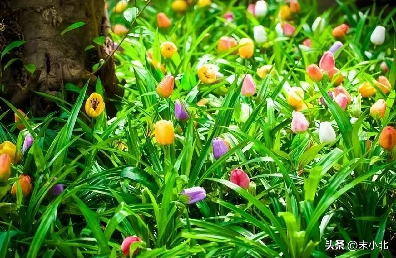 男人哄骗女人时，常说的三句“假话”，你听过几句？