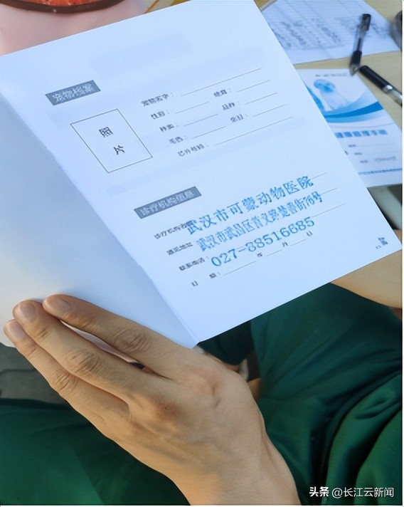 武汉狗狗哪里办证,武汉狗狗办证流程