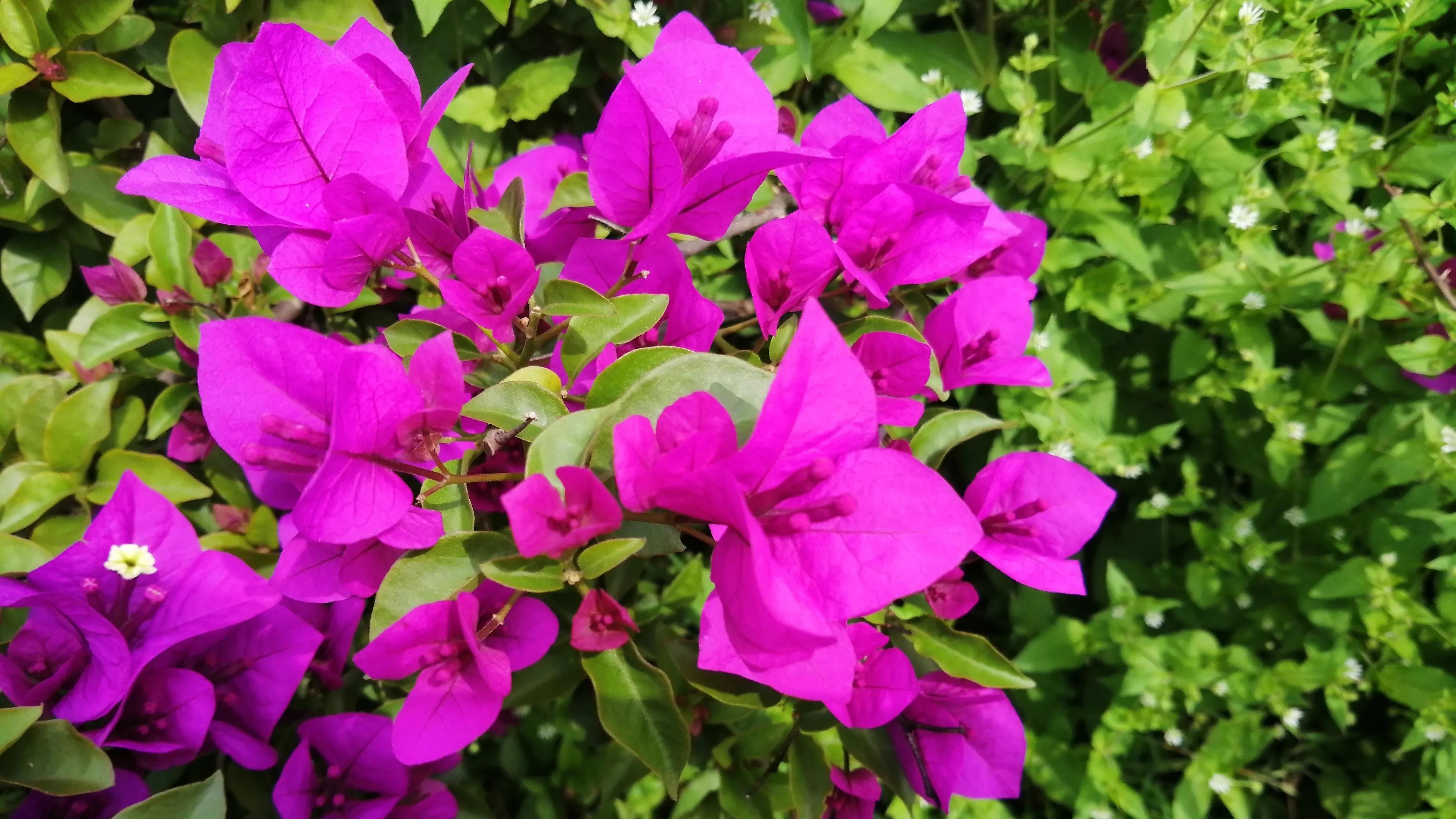 乳腺癌的姐妹们,乳腺癌的姐妹们你们忌口吗