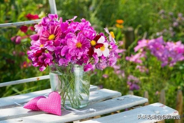 3月15日早安每日问候祝福语,三月最美早安祝福语