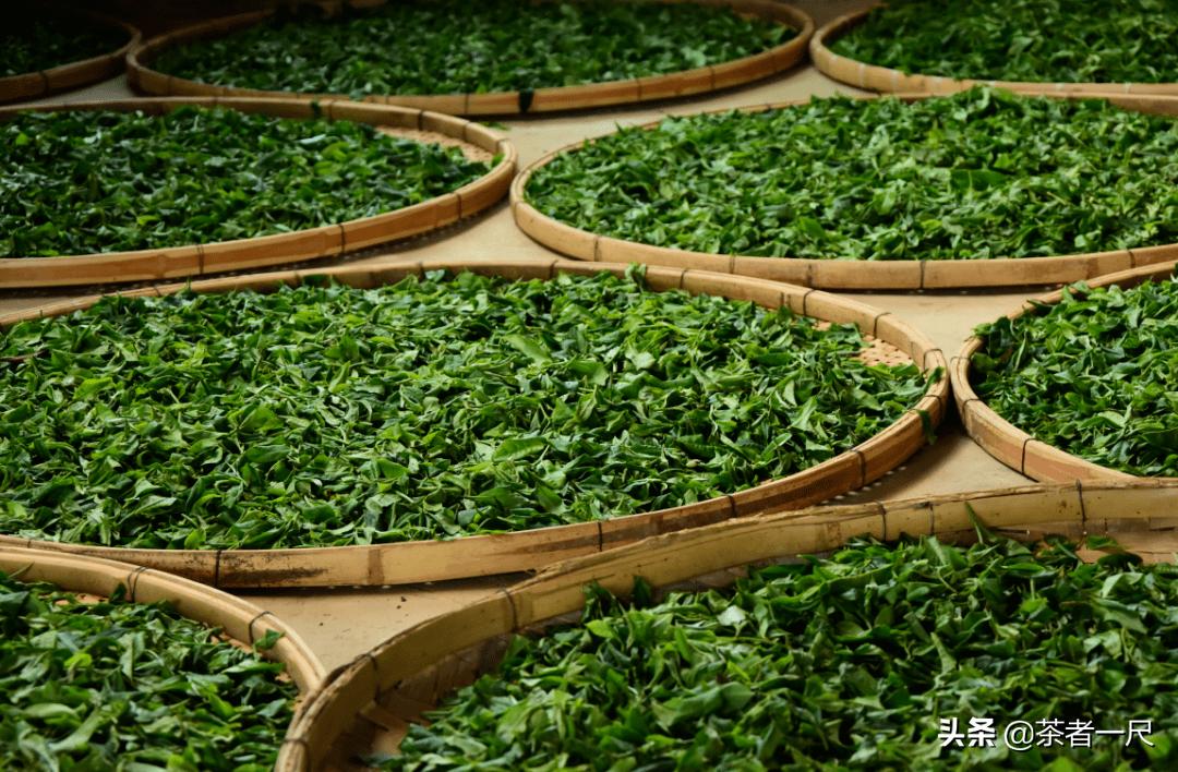 润元昌熟普茶,润元昌柑普