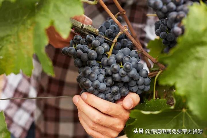 俄罗斯电商产品如何促销,俄罗斯电商市场政策