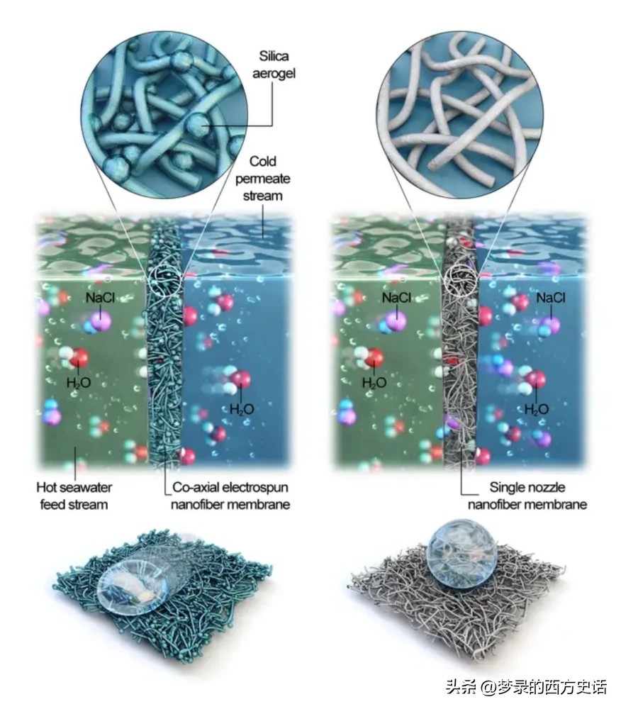 纤维和结晶纳米纤维素对醋酸纤维素膜的增强作用