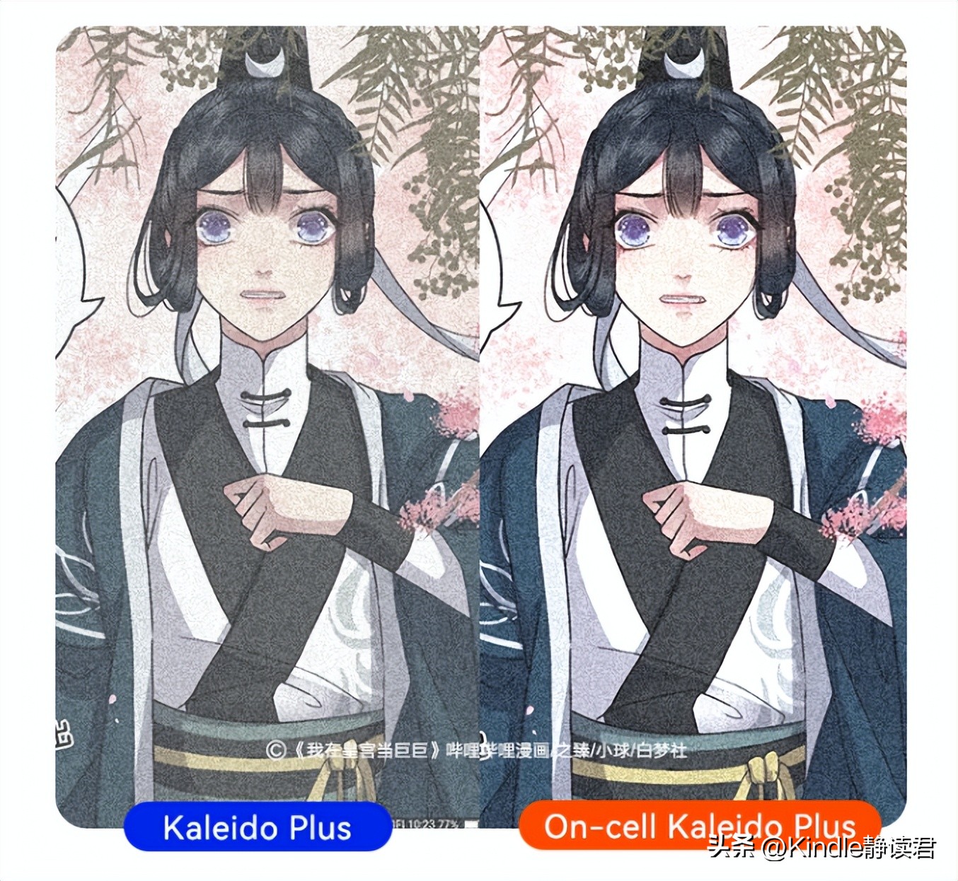 墨水屏怎么检查好坏,彩色墨水屏是怎么显示彩色