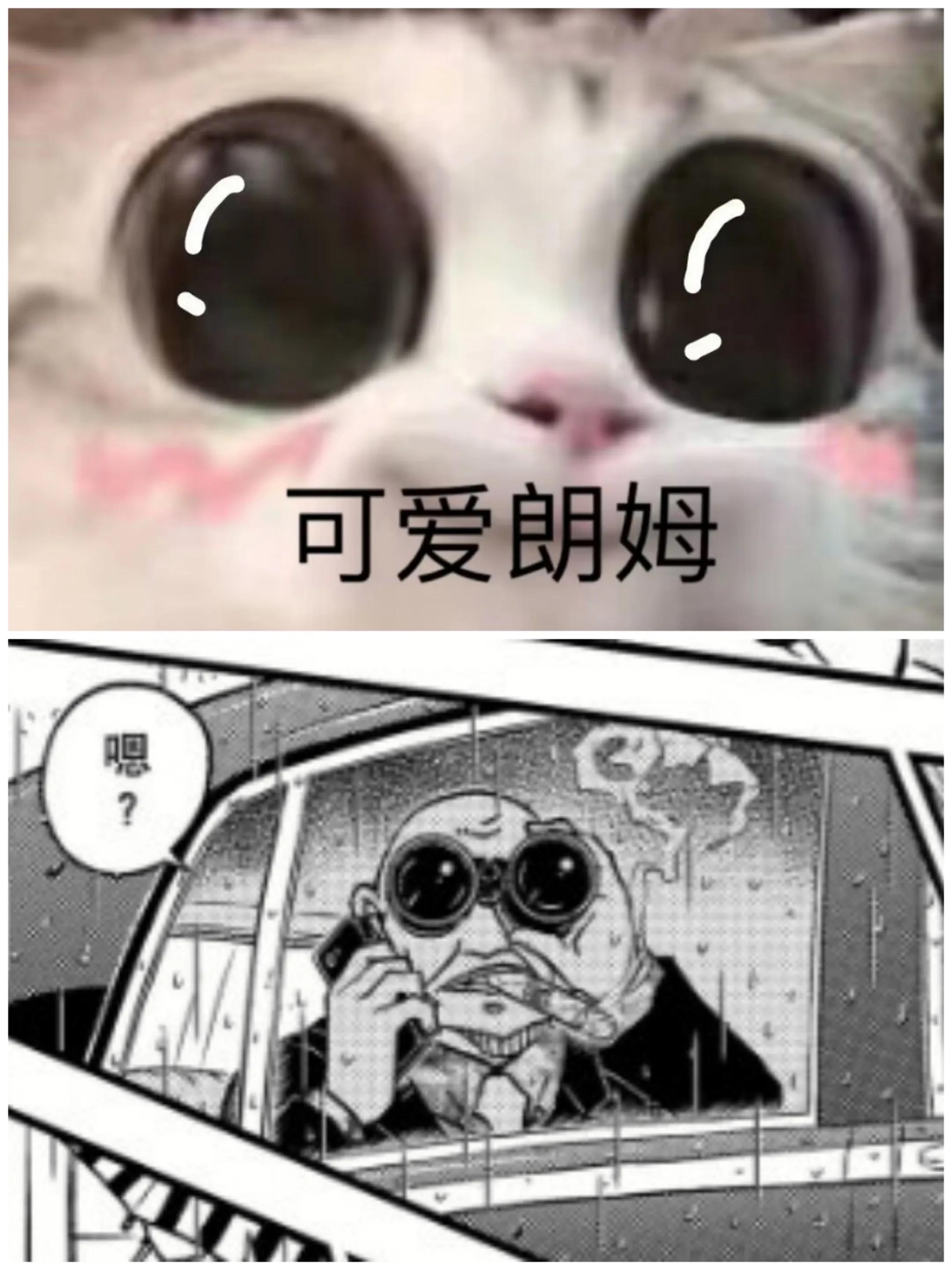 羽田浩司案真相揭开,羽田浩司案的真相在哪一卷