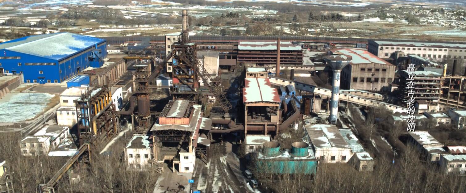 花开半夏实力派演员有哪些人,风吹半夏演员今昔对比盘点